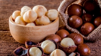 Vì sao hạt mắc ca ngày càng được nhiều người ưa chuộng và “săn đón”?