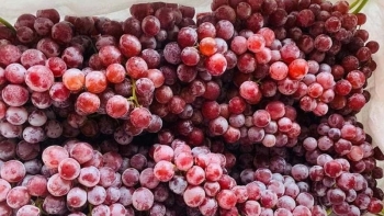 Nho Trung Quốc đổ bộ chợ Việt giá rẻ hơn rau, xuất hiện đào tuyết Lệ Giang giá 30.000 đồng/kg