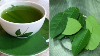 Nước lá chanh mang lại nhiều lợi ích cho sức khoẻ