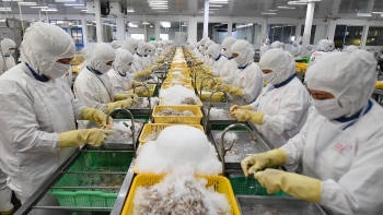 Xuất khẩu thủy sản có khả năng phục hồi kể từ quý IV/2023