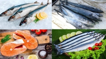 Những loại cá giàu DHA tốt cho sức khỏe của trẻ