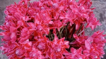 Những loài hoa vừa để cắm chơi vừa có thể ăn, giá cao vẫn hút người mua