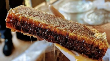 Loại mật ong đắt nhất thế giới hơn trăm triệu đồng/lít có công dụng gì?