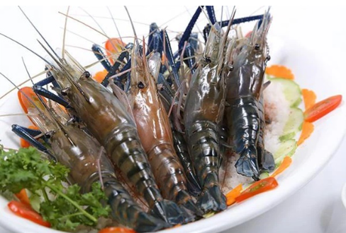 Nhưng điều cần nhớ kỹ khi ăn tôm kẻo rước "cả ổ vi khuẩn" vào người Nhưng điều cần nhớ kỹ khi ăn tôm kẻo rước "cả ổ vi khuẩn" vào người