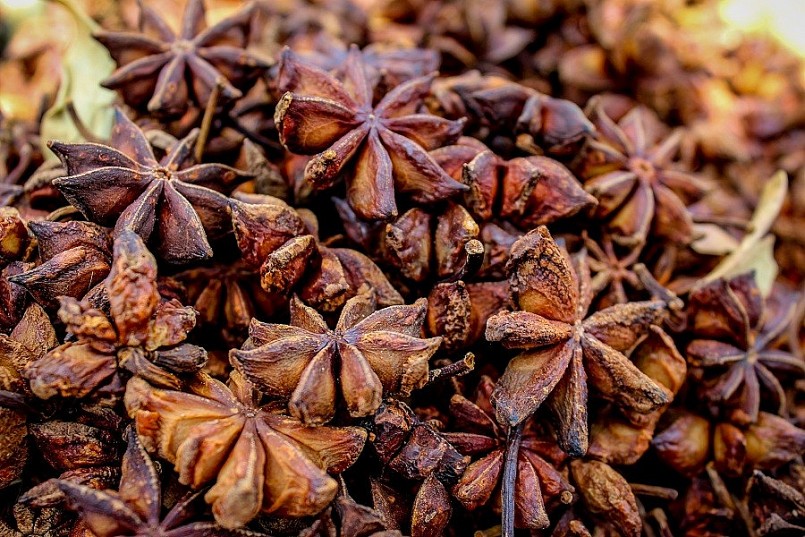 Hoa hồi xuất khẩu tăng đột biến