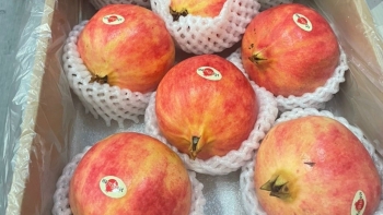 Lựu đỏ Trung Quốc được "hô biến" thành lựu Thái, tiểu thương chỉ cách phân biệt cực đơn giản