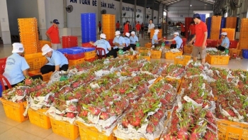 Trung Quốc chi 2,26 tỷ USD mua rau quả của Việt Nam