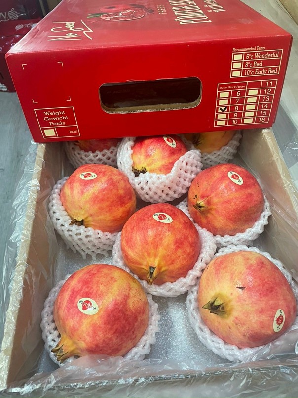 Lựu Thái Lan Lựu Thái Lan