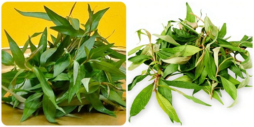 Loại rau ăn kèm với trứng vịt lộn bổ như thuốc, nhưng ăn sai cách coi chừng ôm họa