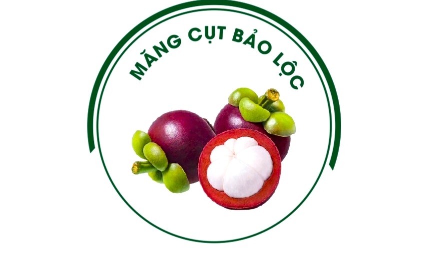 Logo Măng cụt Bảo Lộc đã được Cục Sở hữu trí tuệ công nhận nhãn hiệu sản phẩm