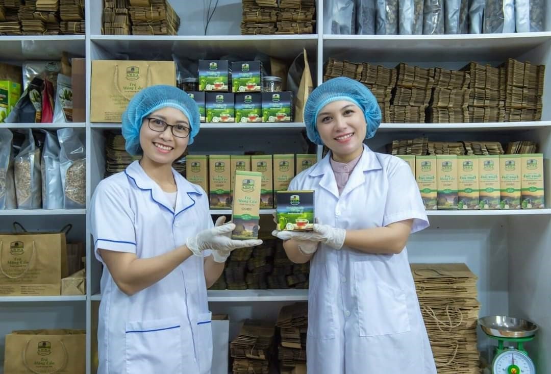 Biến loại trái từ cây chắn gió thành sản phẩm xuất ngoại