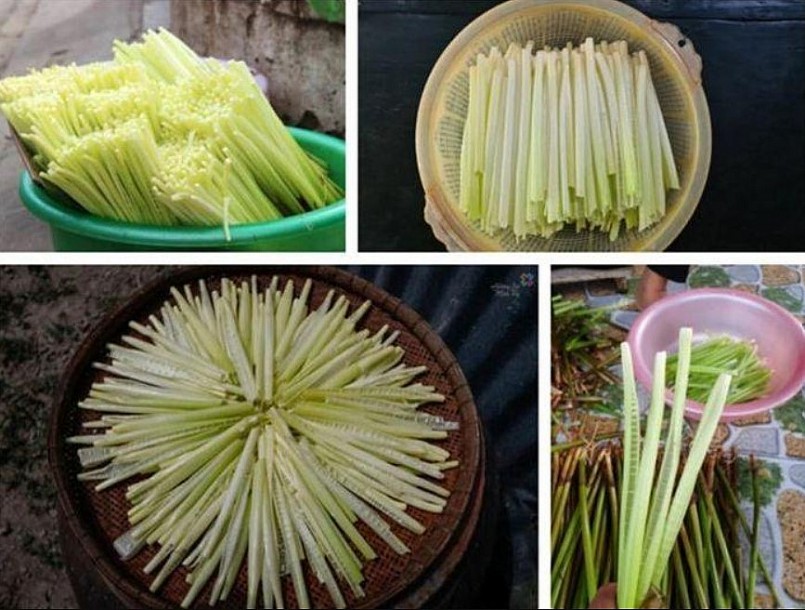 Loại rau dại ăn hàng ngày, bỗng vài năm gần đây trở thành đặc sản đắt khách Loại rau dại ăn hàng ngày, bỗng vài năm gần đây trở thành đặc sản đắt khách