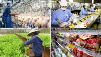 Rà soát lại toàn bộ hệ thống quản lý an toàn thực phẩm từ sản xuất đến tiêu dùng