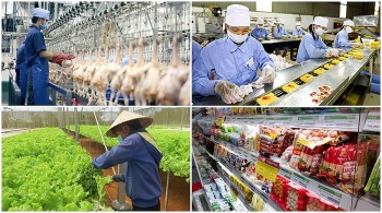 Rà soát lại toàn bộ hệ thống quản lý an toàn thực phẩm từ sản xuất đến tiêu dùng