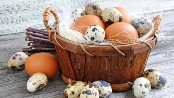 Loại trứng tốt như nhân sâm, ai cũng nghĩ là trứng gà nhưng hóa ra lại nhầm to