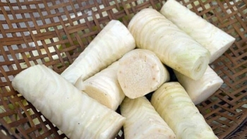 Phần bỏ đi của cây khóm bất ngờ thành đặc sản được săn lùng, giá 80.000 đồng/kg