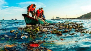 Việt Nam đóng góp tích cực vào tiến trình bảo vệ tầng ô-dôn