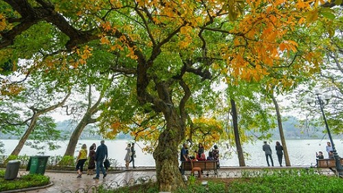 Những con phố lãng mạng nhất Hà Nội khi vào thu