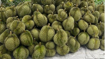 8 tháng, Trung Quốc đã 6 lần gửi thông báo vi phạm về mã số vùng trồng