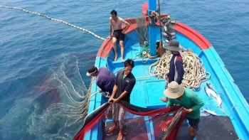Gỡ “thẻ vàng” IUU giúp phát triển ngành thủy sản bền vững
