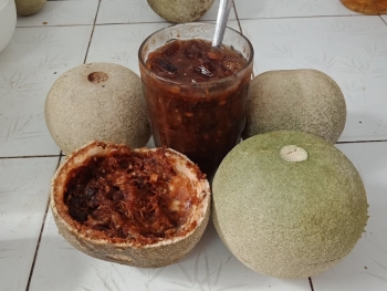 Trái quách vừa là đặc sản, vừa là vị thuốc quý