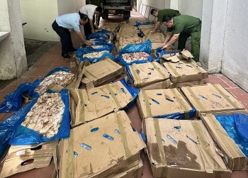 Hà Nội: Tạm giữ trên 1,2 tấn cánh gà có dấu hiệu nhập lậu