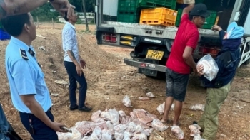 Nghệ An: Tiêu hủy số lượng lớn thực phẩm là gà đông lạnh không rõ nguồn gốc