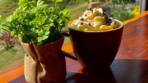 Top 10 quán cafe ở Hải Phòng đẹp, là “thánh địa sống ảo” sở hữu view cực chất