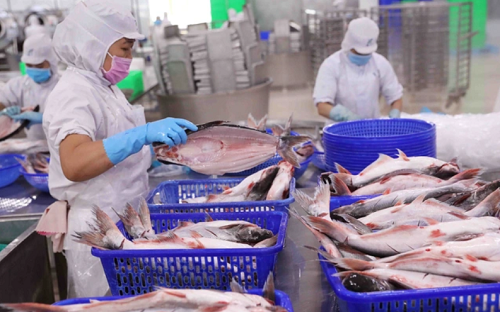 Xuất khẩu thủy sản trở lại đường đua và bứt tốc