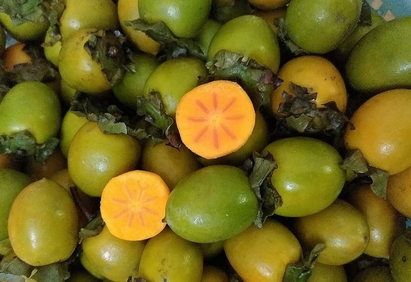 Bác sĩ khuyến cáo cần thận trọng khi ăn quả hồng