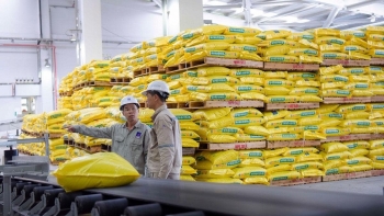 Cả nước xuất khẩu trên 1,1 triệu tấn phân bón