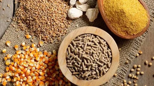 Xuất khẩu thức ăn gia súc tăng nhẹ