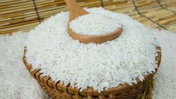 8 loại gạo Việt ngon được người tiêu dùng lựa chọn