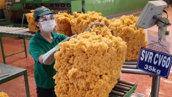Xuất khẩu cao su sang Nhật Bản vẫn tăng trưởng khá về lượng