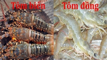 Tôm đồng và tôm biển loại nào giàu dinh dưỡng hơn: Chuyên gia giải đáp và phân tích chi tiết