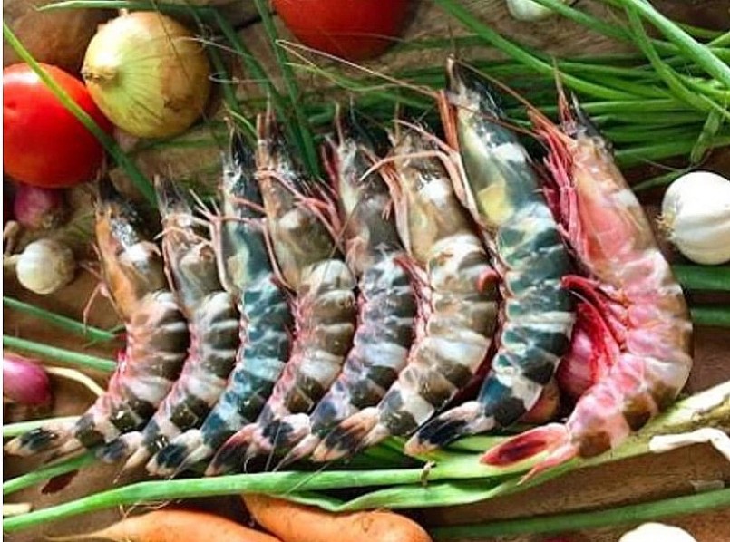 Tôm đồng và tôm biển loại nào tốt hơn: Chuyên gia giải đáp và phân tích chi tiết Tôm đồng và tôm biển loại nào tốt hơn: Chuyên gia giải đáp và phân tích chi tiết