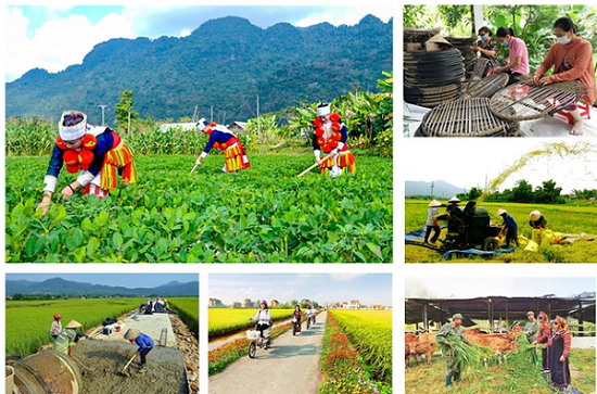 Quyết liệt triển khai thực hiện các chương trình mục tiêu quốc gia