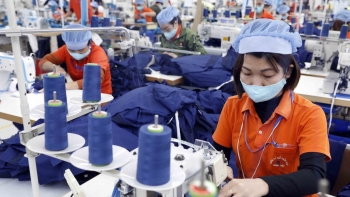 Tổng kim ngạch xuất khẩu đạt 242 tỷ USD