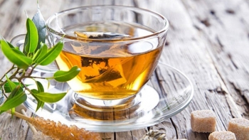 Có nên uống nước lá đinh lăng thay nước lọc hay không?