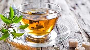 Có nên uống nước lá đinh lăng thay nước lọc hay không?