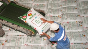 Giá phân bón biến động mạnh sau lệnh dừng xuất khẩu Urê của Trung Quốc