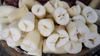 Những lưu ý khi ăn củ sắn