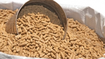 Tháng 8/2023, xuất khẩu thức ăn gia súc và nguyên liệu của Việt Nam đạt gần 140 triệu USD