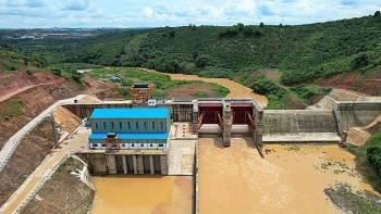 Lâm Đồng: Xử phạt công ty thủy điện 300 triệu đồng