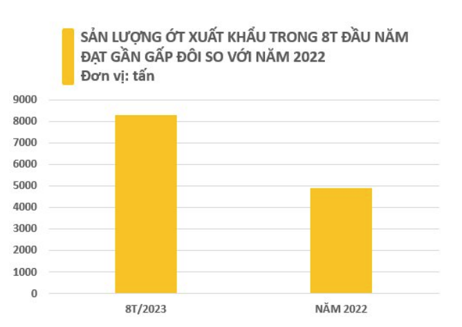 Lũy kế 8 tháng đầu năm, Việt Nam xuất khẩu tổng cộng 8.296 tấn ớt, thu về hơn 15,7 triệu USD Lũy kế 8 tháng đầu năm, Việt Nam xuất khẩu tổng cộng 8.296 tấn ớt, thu về hơn 15,7 triệu USD