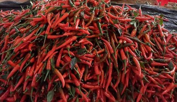 Loại quả gia vị bán giá rẻ ở chợ Việt, đem xuất khẩu thu về hơn 15,7 triệu USD trong 8 tháng