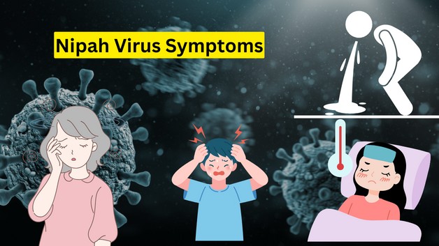 Thông tin về Virus Nipah có tỷ lệ tử vong cao gấp 20 lần COVID -19