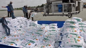 Cán cân cung - cầu phân bón vẫn đang ổn định