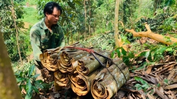 Xuất khẩu quế, hồi sang Canada tăng đột biến