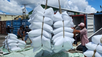 Cập nhật 3 kịch bản tăng trưởng nền kinh tế quý IV và cả năm 2023